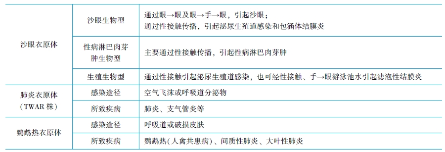 主要病原性衣原體