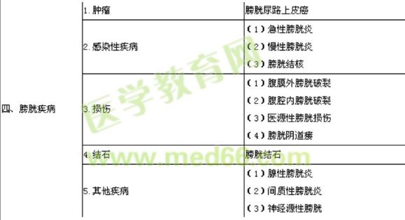 泌尿外科 泌尿外科